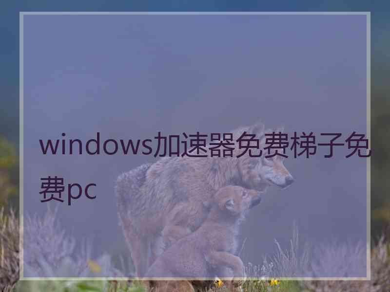 windows加速器免费梯子免费pc