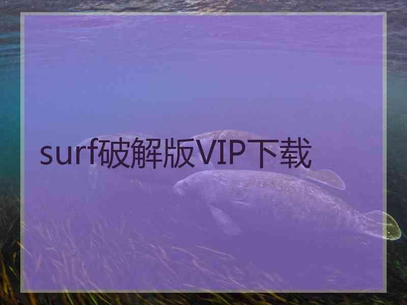 surf破解版VIP下载