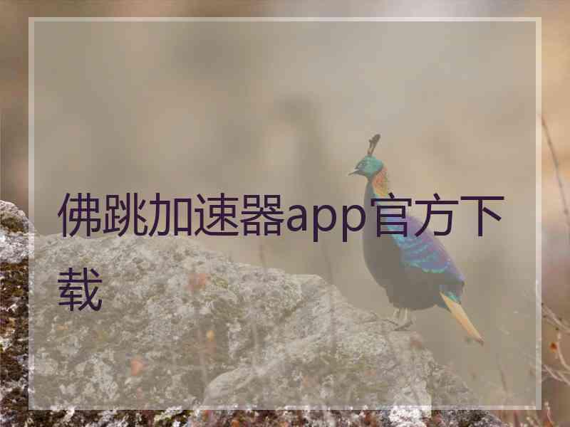 佛跳加速器app官方下载