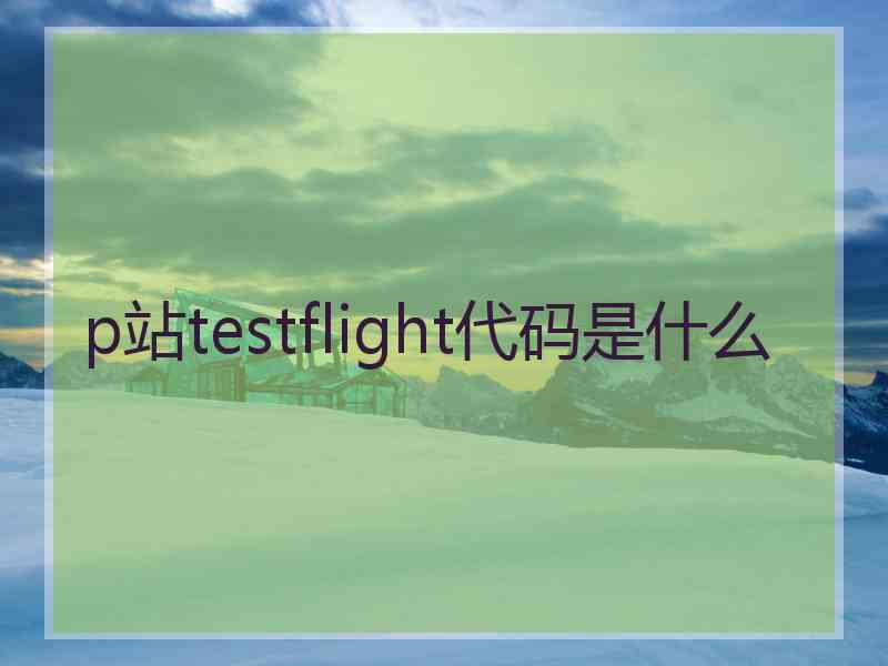 p站testflight代码是什么