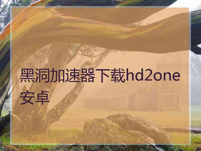 黑洞加速器下载hd2one安卓