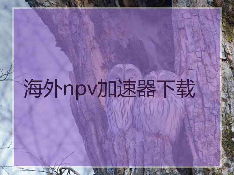 海外npv加速器下载