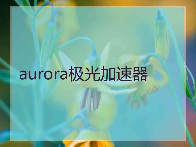 aurora极光加速器