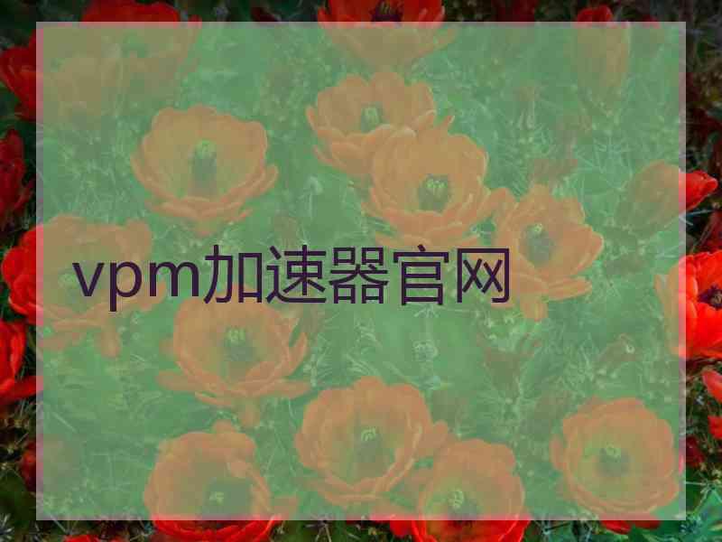 vpm加速器官网