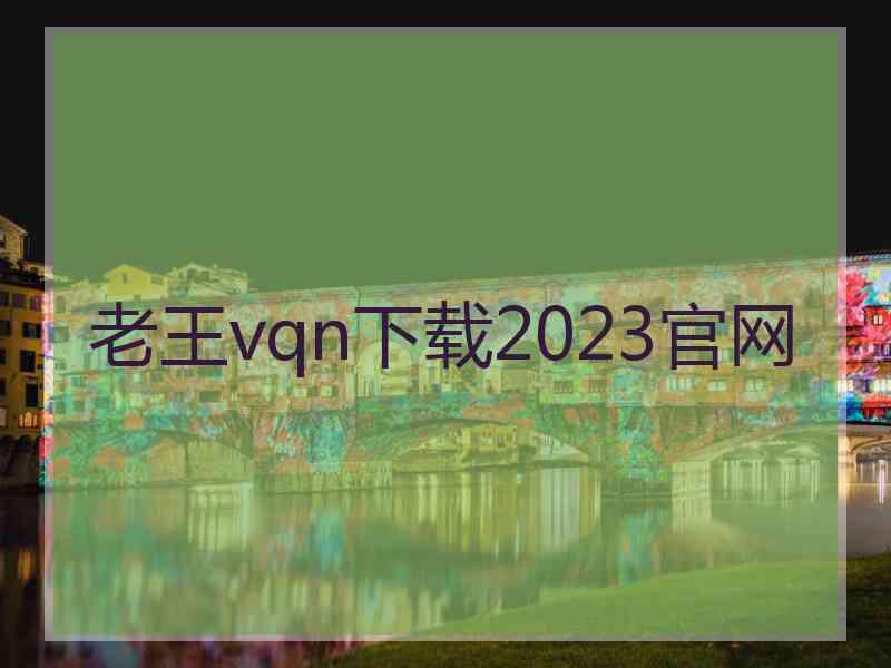 老王vqn下载2023官网