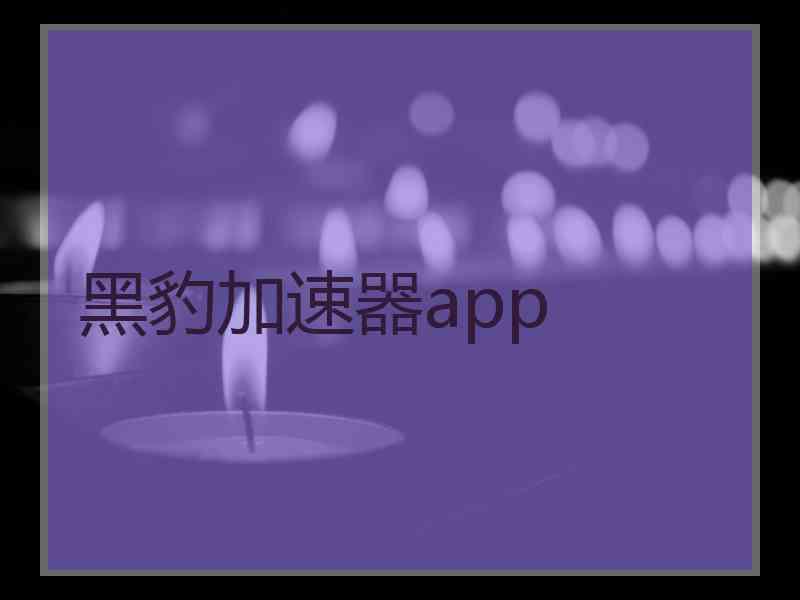 黑豹加速器app