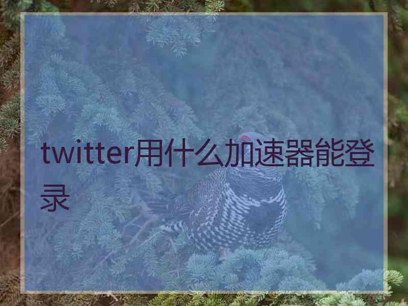 twitter用什么加速器能登录