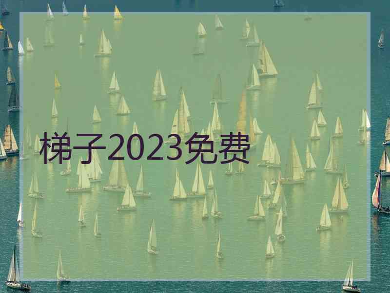 梯子2023免费