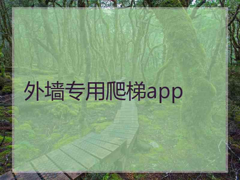 外墙专用爬梯app