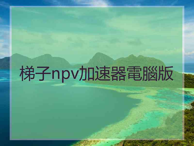 梯子npv加速器電腦版