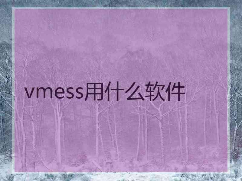 vmess用什么软件