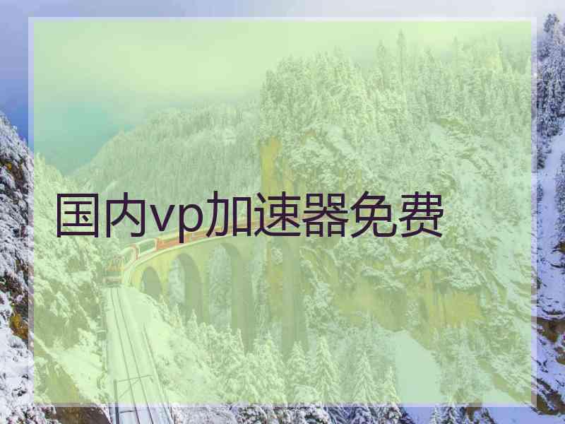 国内vp加速器免费