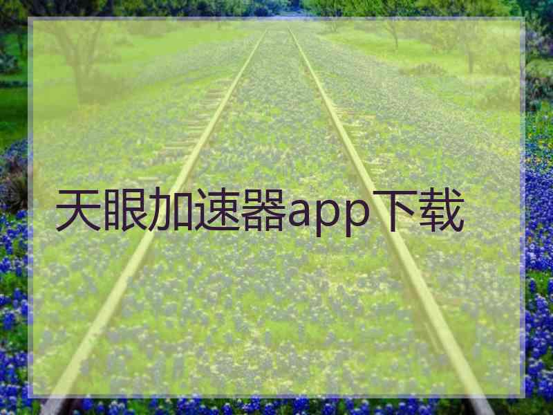 天眼加速器app下载