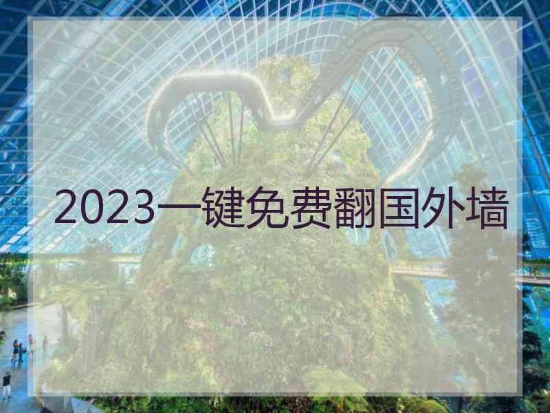 2023一键免费翻国外墙