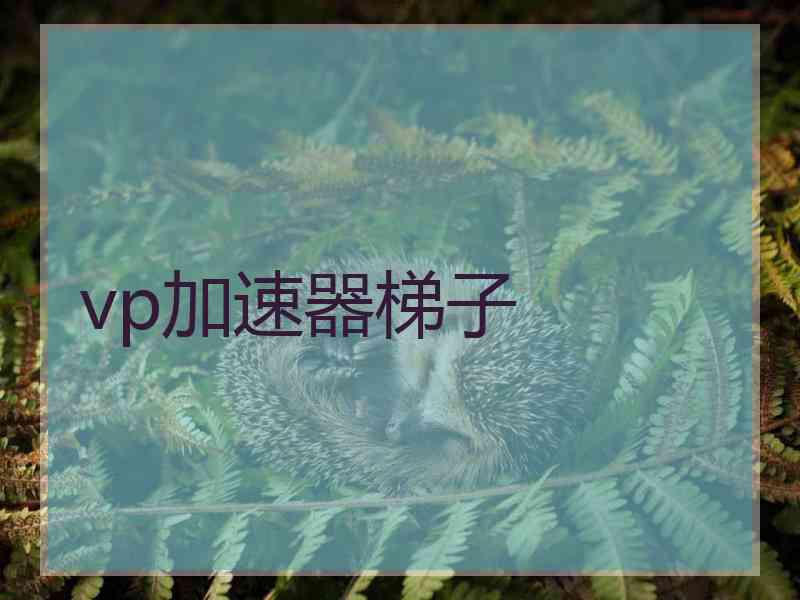 vp加速器梯子