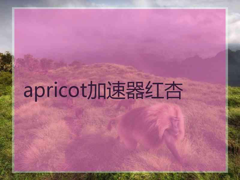 apricot加速器红杏