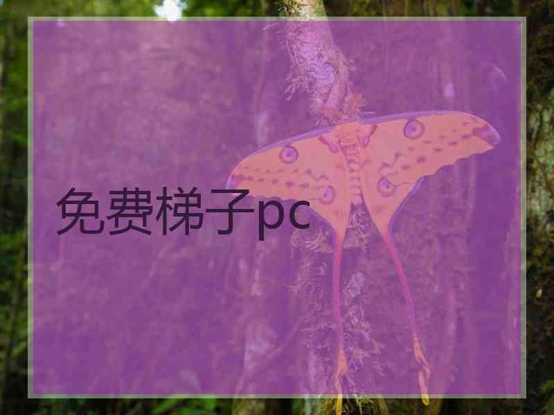 免费梯子pc