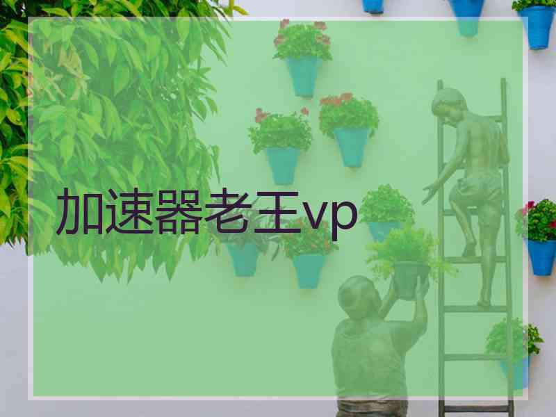 加速器老王vp