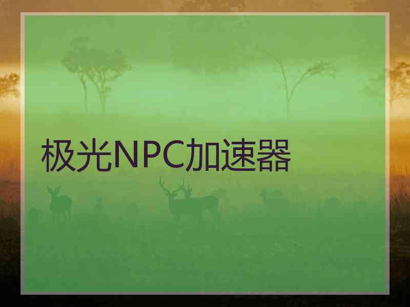 极光NPC加速器