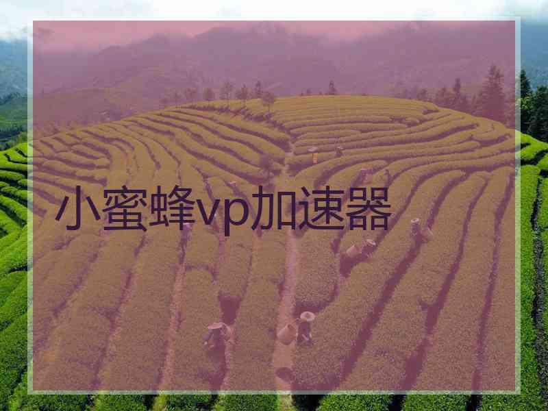 小蜜蜂vp加速器