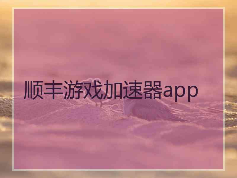 顺丰游戏加速器app