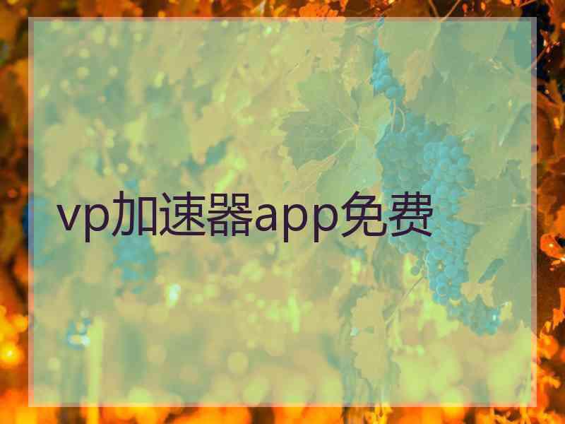 vp加速器app免费