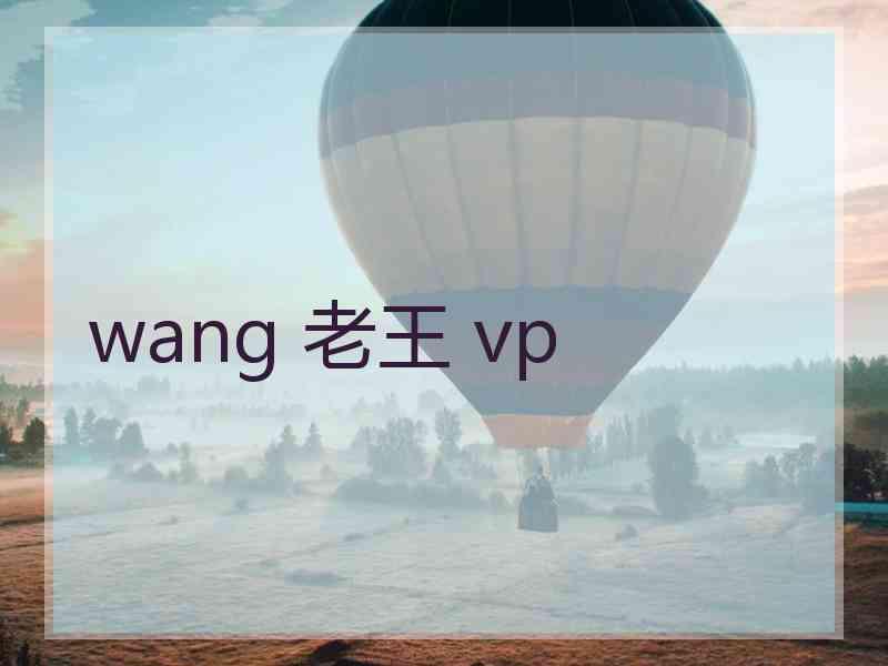 wang 老王 vp