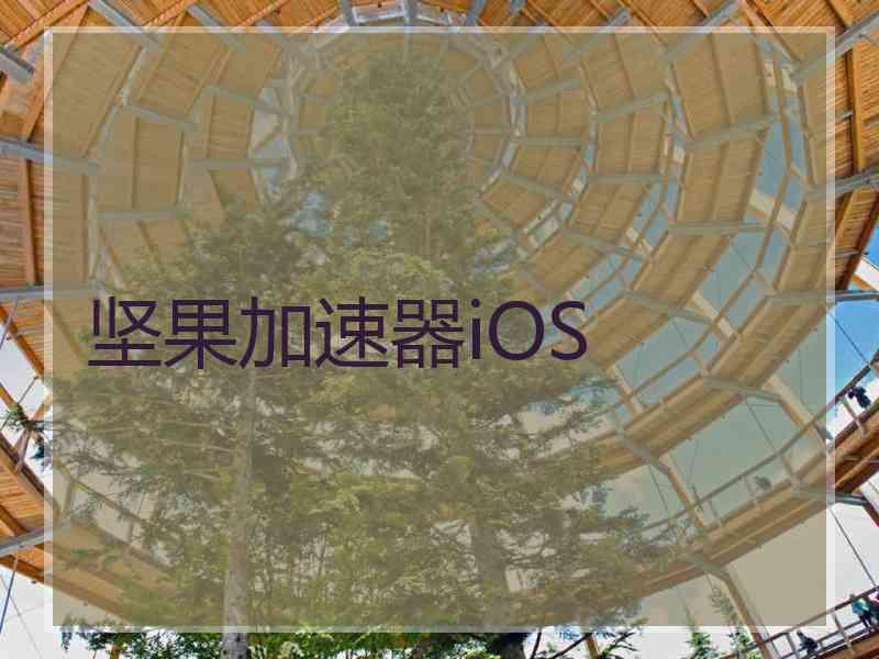 坚果加速器iOS