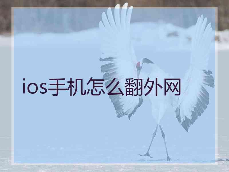 ios手机怎么翻外网