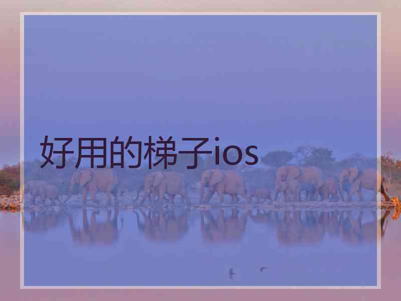 好用的梯子ios