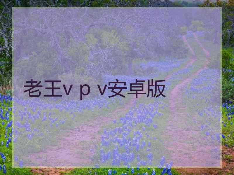 老王v p v安卓版