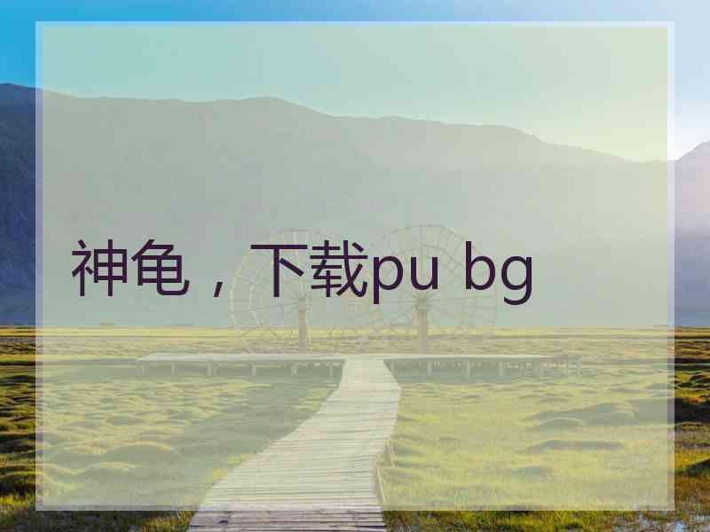 神龟，下载pu bg