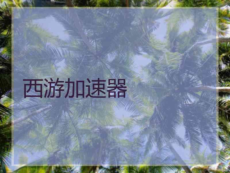 西游加速器