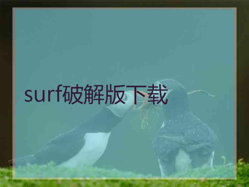 surf破解版下载