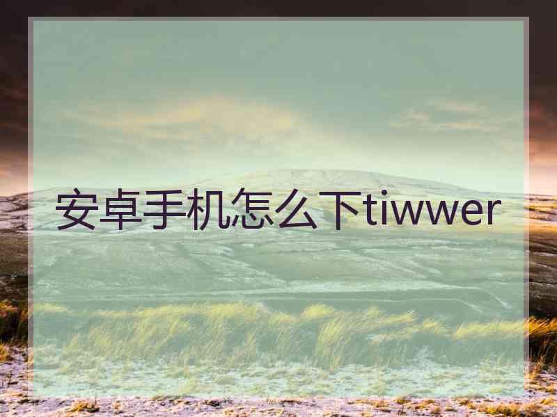 安卓手机怎么下tiwwer