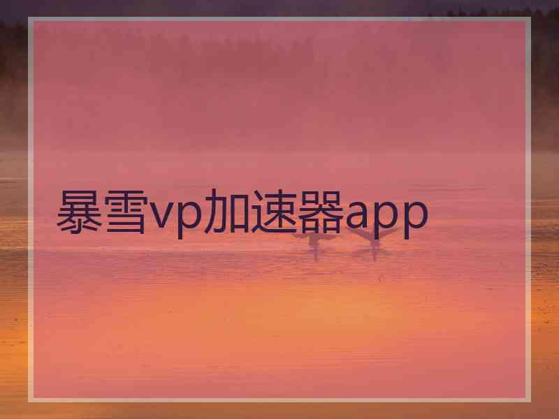 暴雪vp加速器app