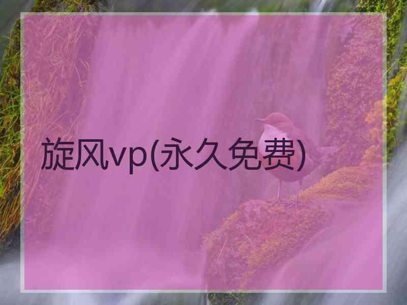 旋风vp(永久免费)