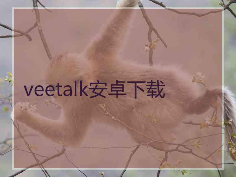 veetalk安卓下载