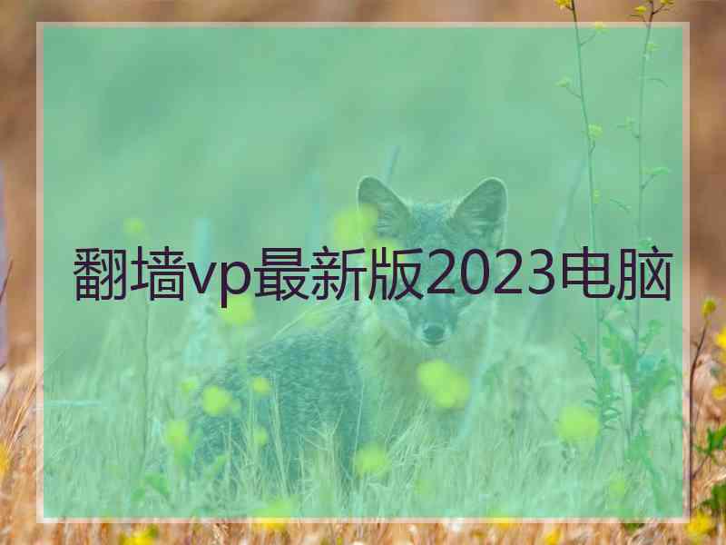 翻墙vp最新版2023电脑