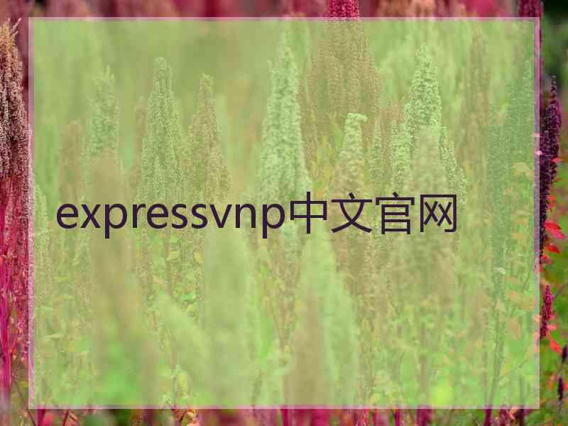 expressvnp中文官网