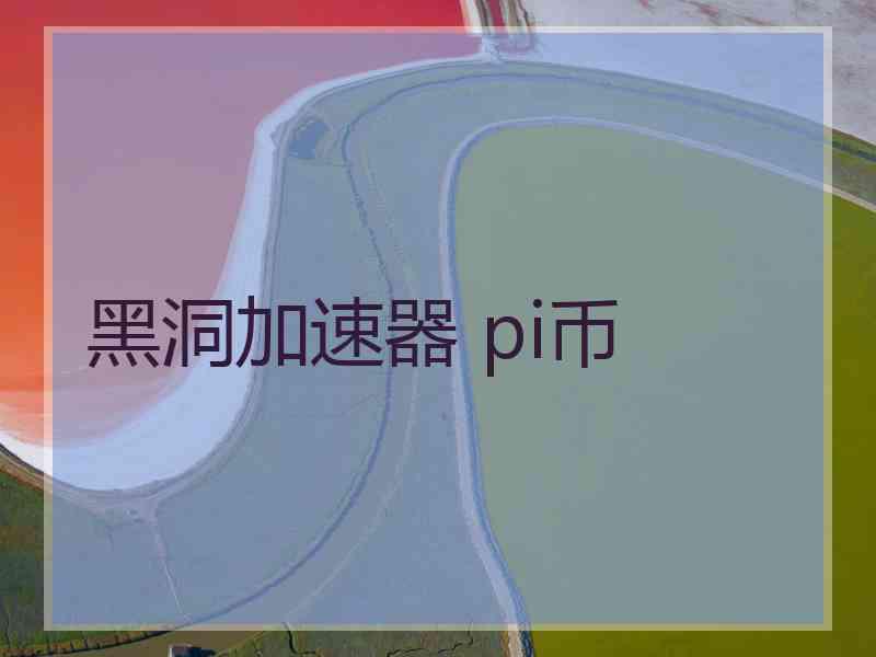 黑洞加速器 pi币