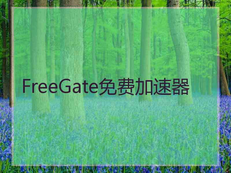 FreeGate免费加速器