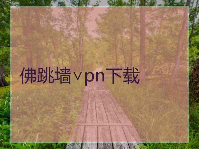 佛跳墙∨pn下载