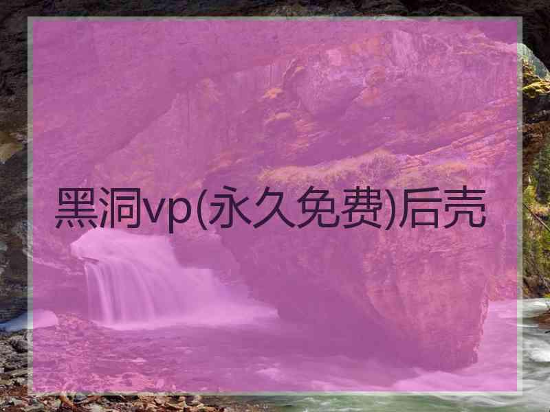 黑洞vp(永久免费)后壳