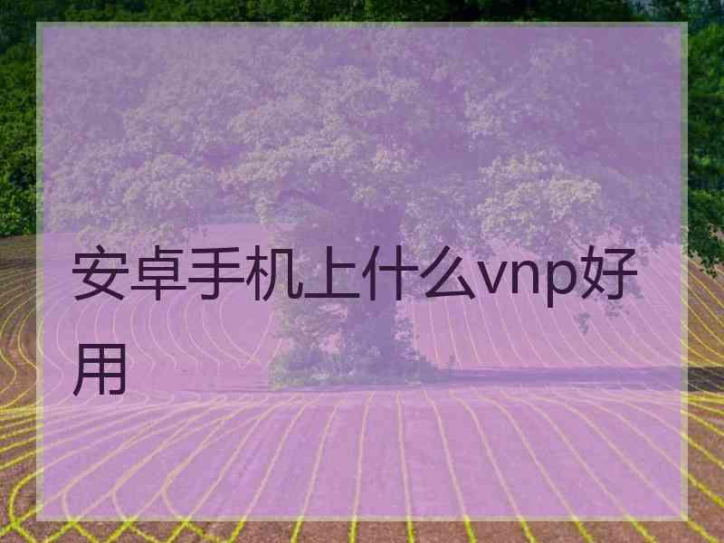 安卓手机上什么vnp好用