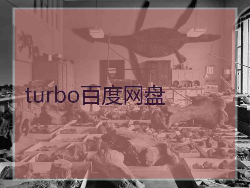 turbo百度网盘