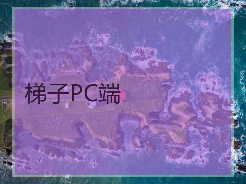 梯子PC端