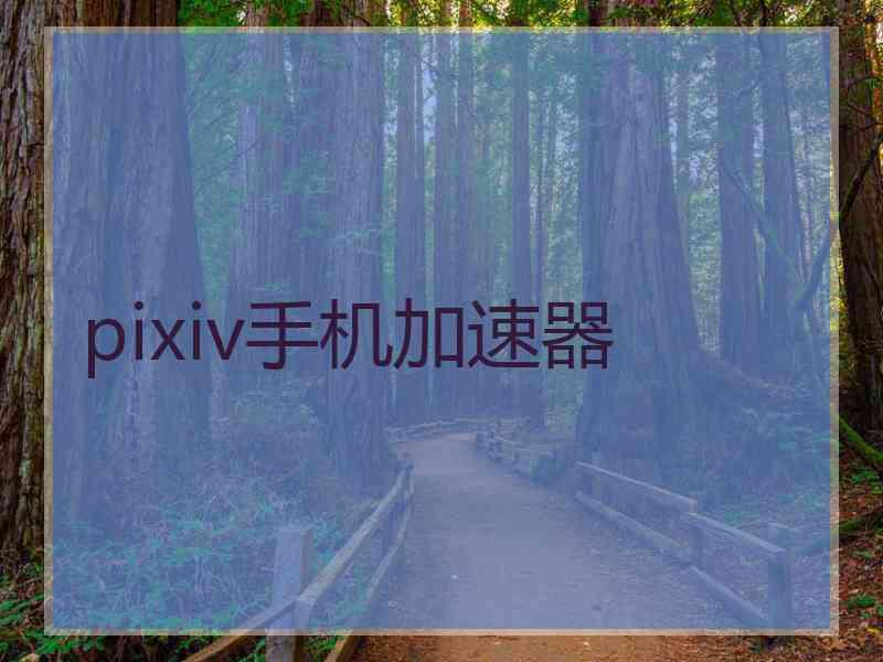 pixiv手机加速器