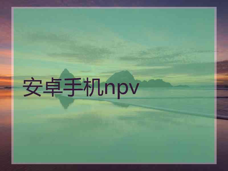 安卓手机npv