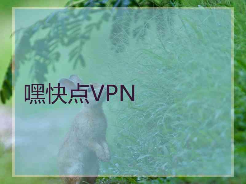 嘿快点VPN